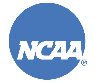 NCAA D3 Susquehanna Softball